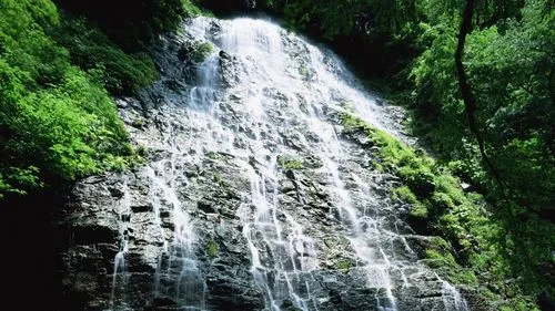 高标准独特